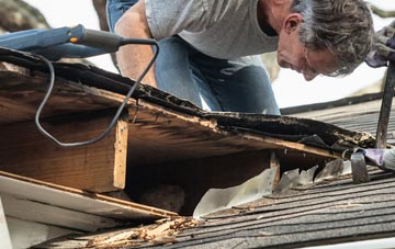 common causes of Gulling Green fascia damage
