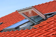Gulling Green roof window